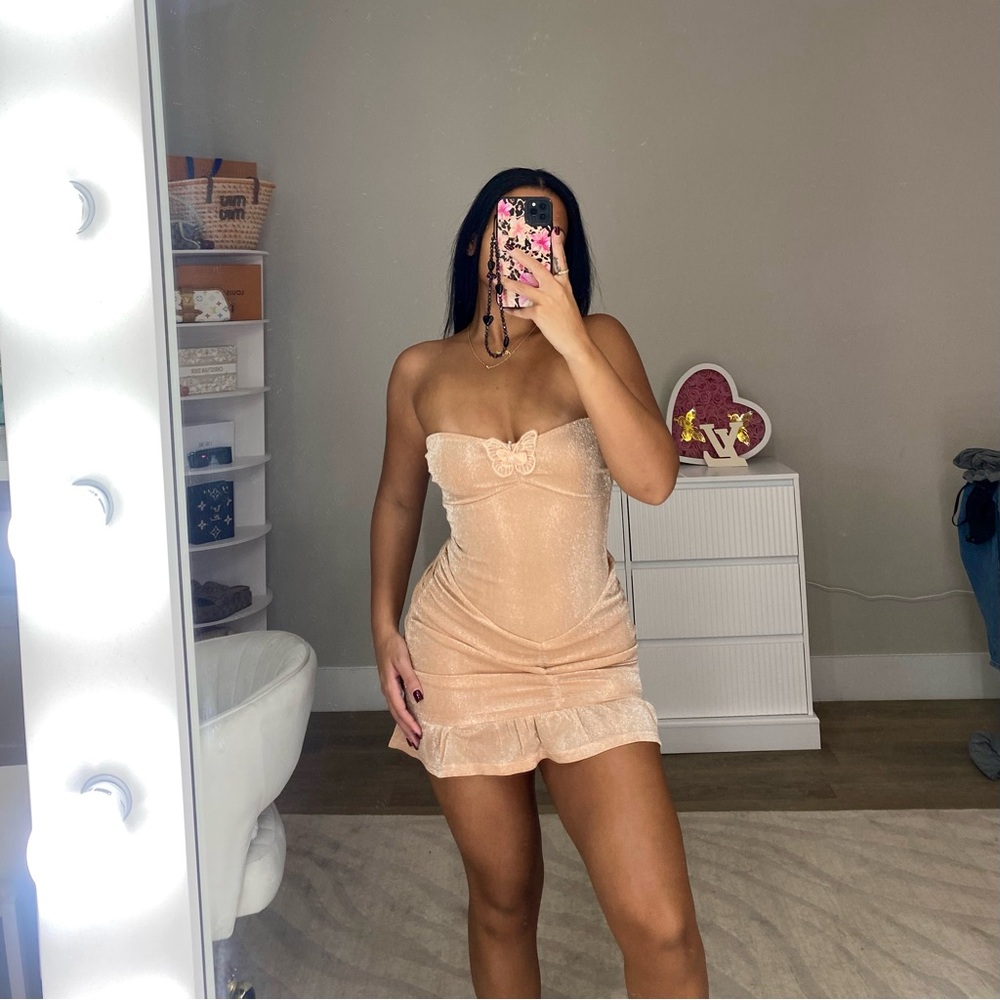FashionNova Alasia Mesh Micro Mini Dress